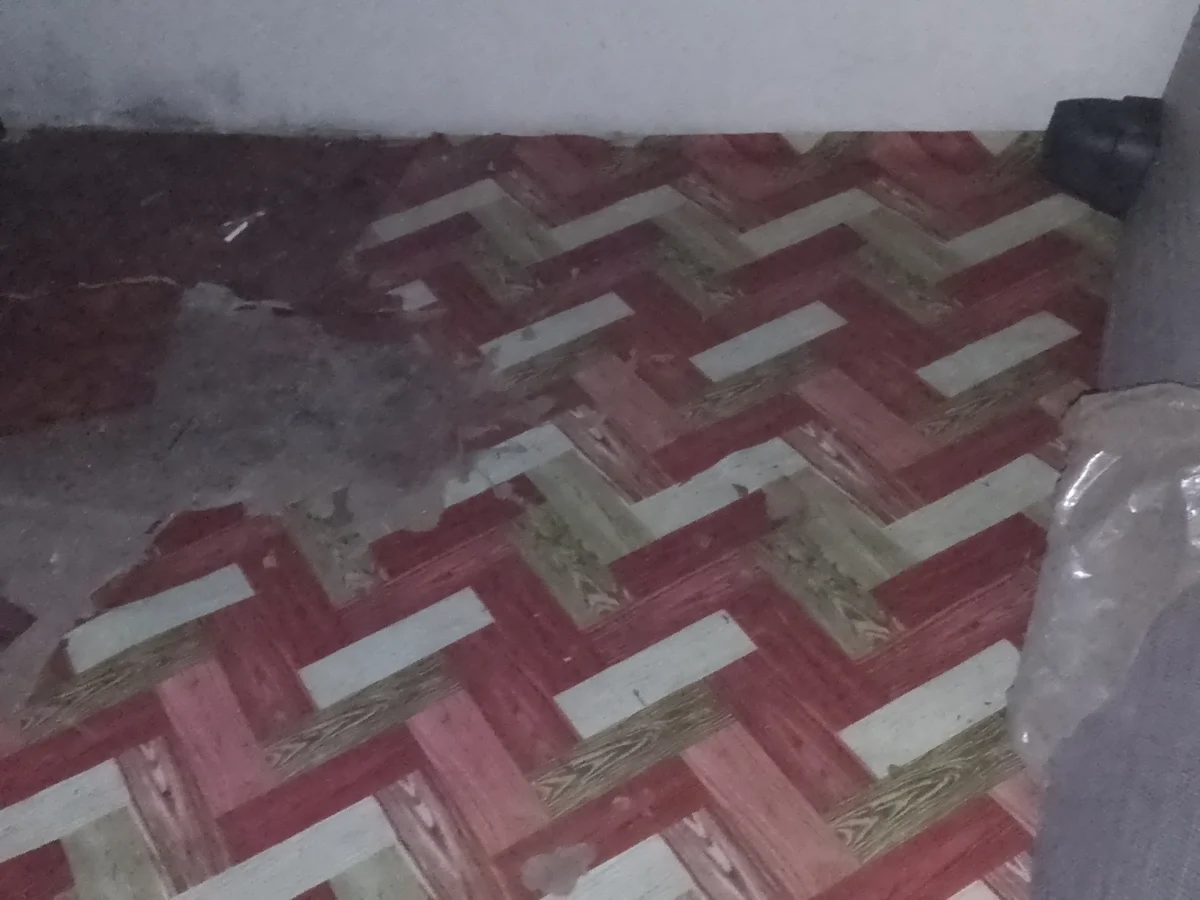 MaphisaMCServices cleaning results